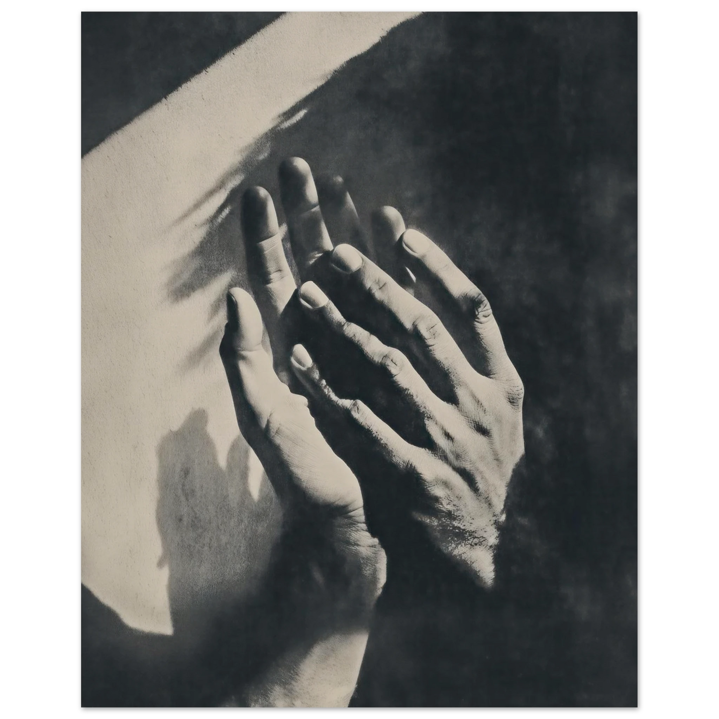 ca4e1444-81be-4ba8-861d-c9d34244a767