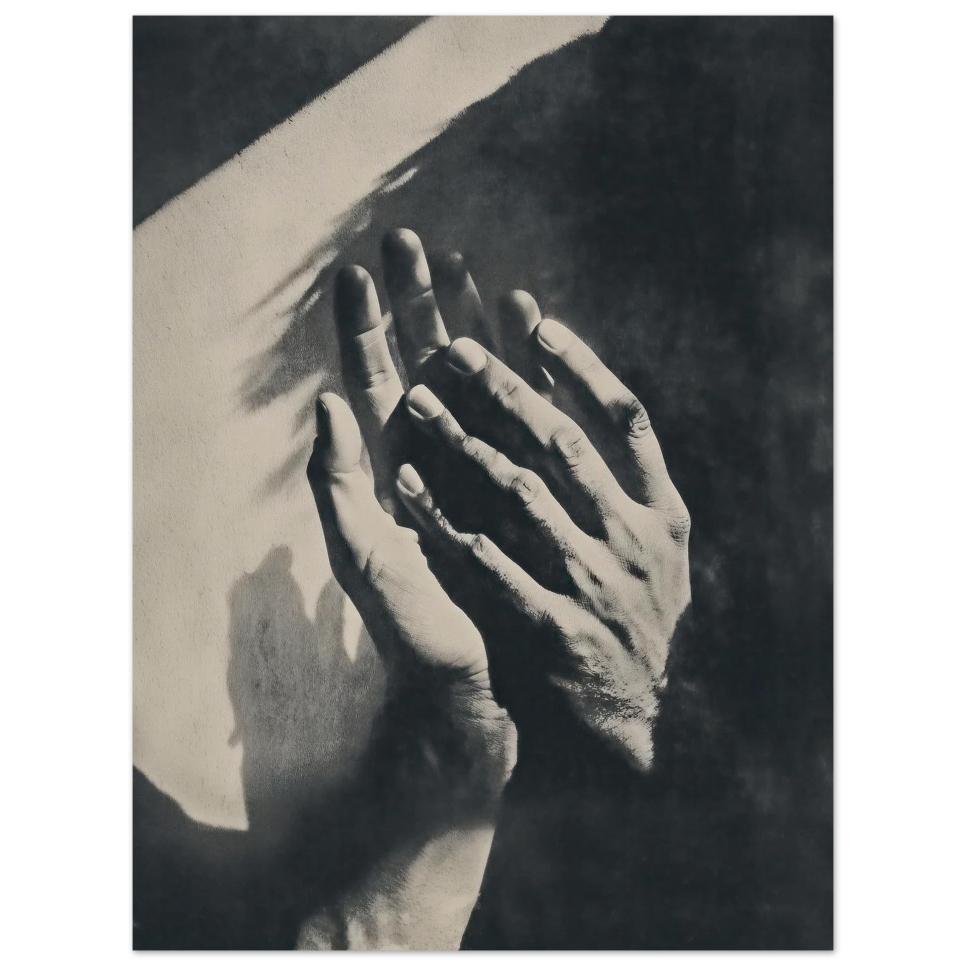 404723d6-478d-43f4-9d9f-10b1664e8f4a