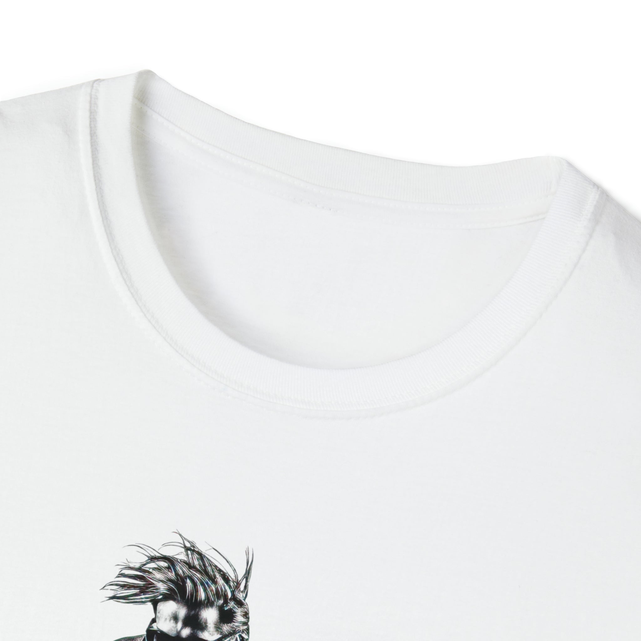 Skateboarder Unisex Softstyle T-Shirt
