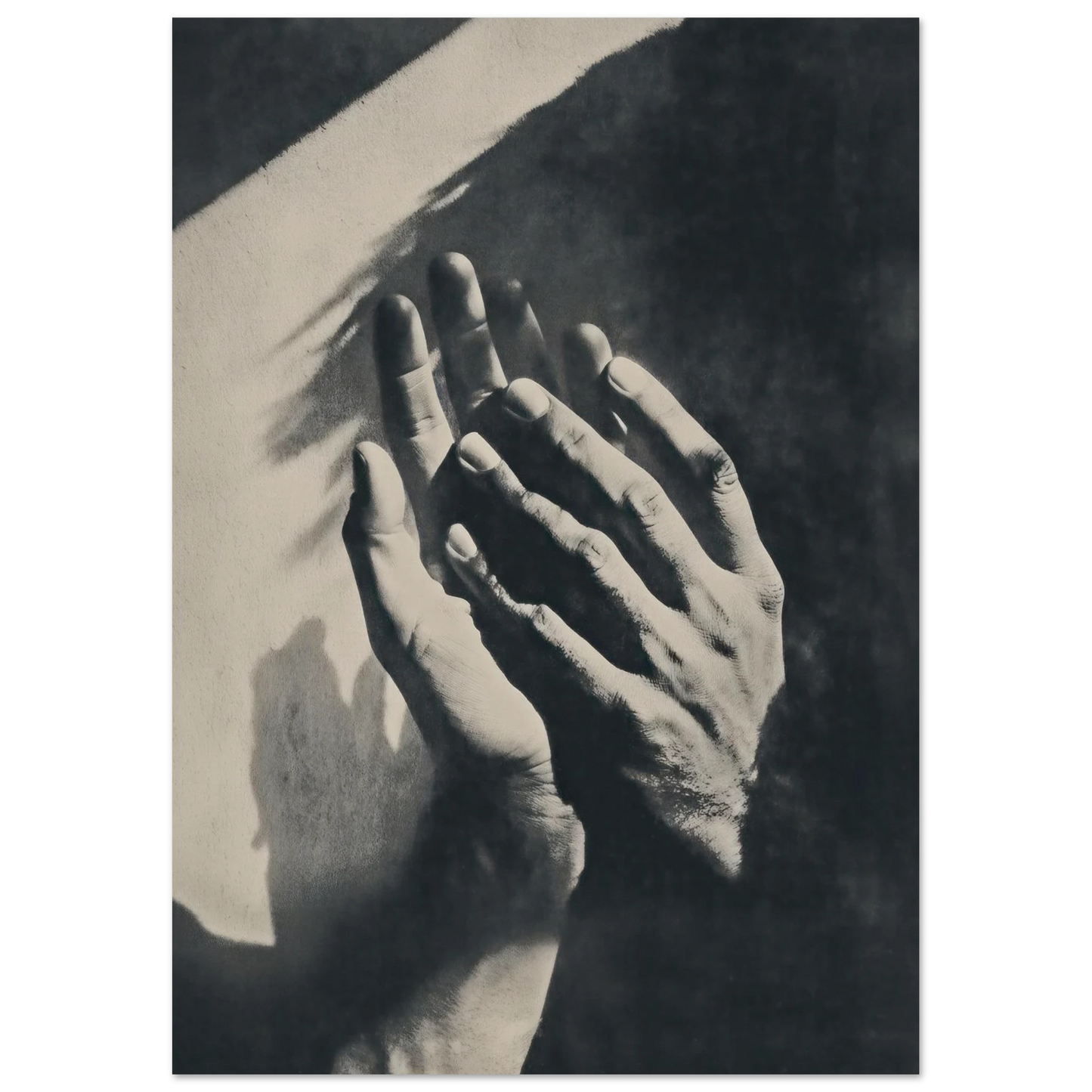 b17a8796-52d9-47c3-ba55-af31358b5d83