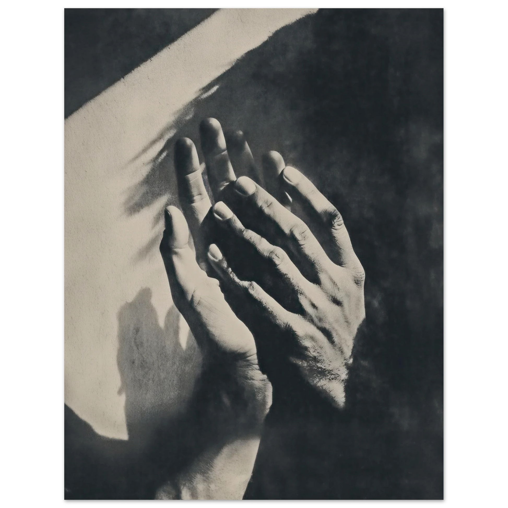 c4292882-71f4-4282-8dbc-ec080ec0184b